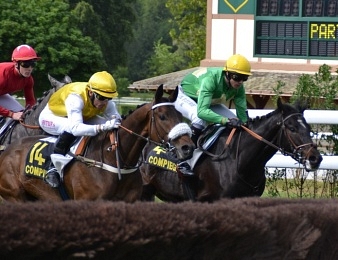 Le Prix Hubert d'Aillières revêtait un intérêt en vue du Grand Steeple-Chase de Paris 2013