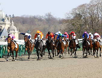 Le Prix Jacques Geliot, Quinté + PMU du samedi 21 février à Cagnes-sur-Mer.