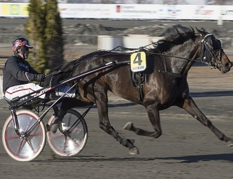 Le Prix Kisin, quinté + PMU du mardi 21 avril à Jägersro.