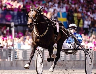 Le Prix Mercenaire, quinté + PMU du vendredi 10 avril à Färjestad