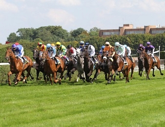 Le Prix Métropole du Grand Nancy, quinté+ PMU du mardi 6 septembre