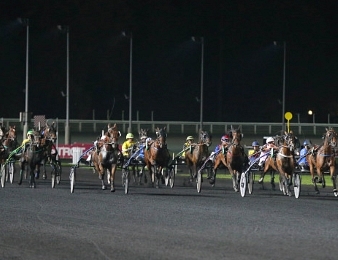 Le Prix Mizar, Quinté plus PMU du vendredi 17 novembre à Vincennes