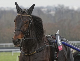 Le Prix Paul Viel, quinté + PMU du vendredi 8 juillet à Cabourg.