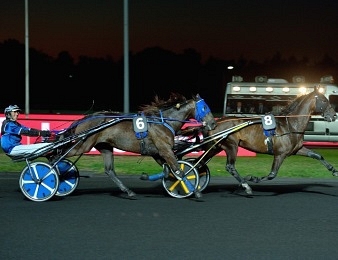 Le Prix Pomona, quinté + PMU du vendredi 30 décembre à Vincennes