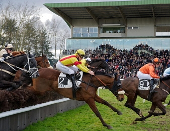 Le Prix René Cramail, quinté + PMU du vendredi 29 janvier à Pau.