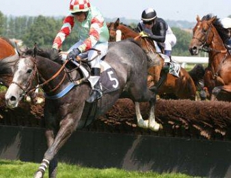 Le Prix Santo Pietro se tenait sur les balais d'Auteuil
