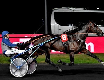 Le Prix Thémis, quinté + PMU du vendredi 18 octobre à Vincennes