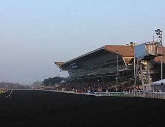Le Prix Vesta, Quinté + PMU du vendredi 9 décembre 2016 à Vincennes