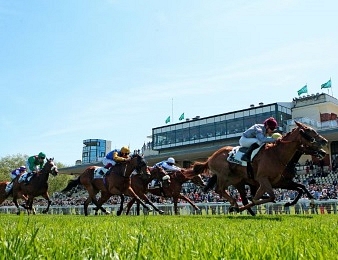 Le quinté + a lieu à Clairefontaine-Deauville ce lundi 1er juillet