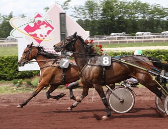 Le Quinté+ a lieu à Lyon-La Soie mardi 12 mai