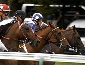 Le Quinté+ a pour cadre Deauville jeudi 1er août