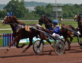 Le Quinté+ (GNT) a rendez-vous à Beaumont-de-Lomagne mercredi 22 avril 2015