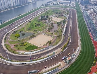 Le quinté de ce mercredi 1er avril aura lieu à Sha TIn (Hong Kong).