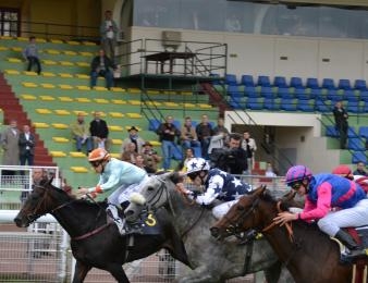 Le Quinté Plus du jour aura pour cadre le Prix du Lieu Marmion