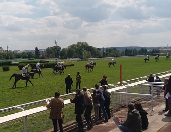 Le quinté+ PMU a été neutralisé ce samedi à Auteuil