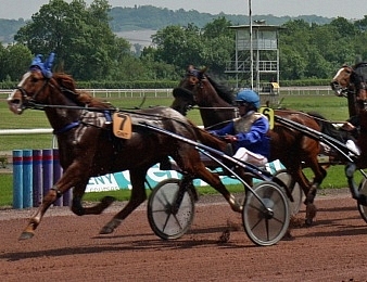 Le Quinté+ PMU a rendez-vous à Beaumont-de-Lomagne mardi 15 novembre