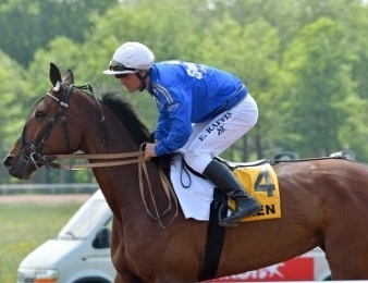 Le Saint-Léger des Trotteurs se disputera ce mercredi 16 mai à Caen