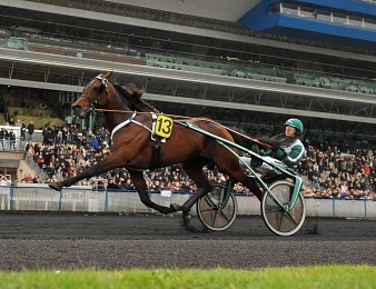 Le suédois Maharajah, deuxième du Prix d'Amérique 2011