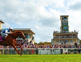 Le week-end du Prix de l'Arc de Triomphe nous promet de grands moments de sport