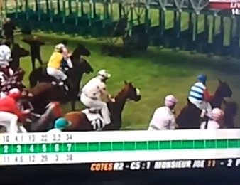 Les chevaux stoppés par les stalles