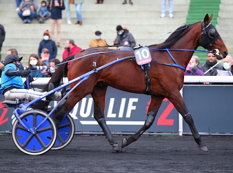 Les favoris de la Team Zone-Turf pour le Prix d'Amérique