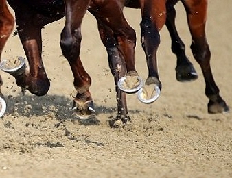 Les français ont réalisé un festival à Lingfield Park
