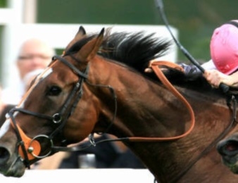 Les irlandais de Coolmore tenteront de notamment contrer Workforce, lauréat en 2010