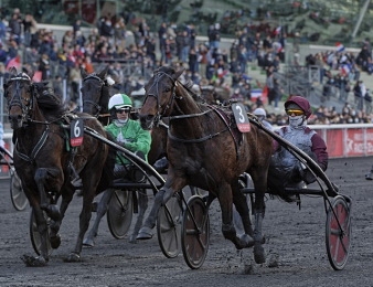 Les partants probables du Prix d'Amérique Legend Race.