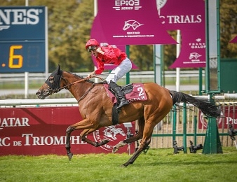 Les Qatar Arc Trials sont des courses tremplins en vue du Qatar Prix de l'Arc de Triomphe