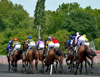Les top chances du jour repérées par nos spécialistes