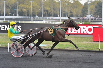 Les top chances du jour repérées par nos spécialistes.