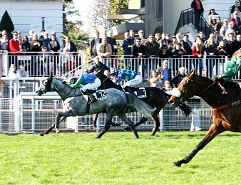 Libaute (robe grise), lauréate d'un Prix Pierre de Lassus disputé