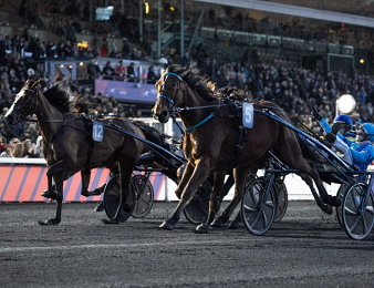 Liberté de Choisel et Liza Josselyn se retrouvent