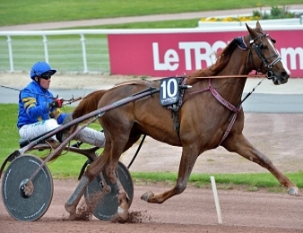 Lionel à l'échauffement sur l'hippodrome d'Enghien
