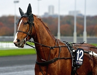 Lionel s'impose dans l'Olympiatravet