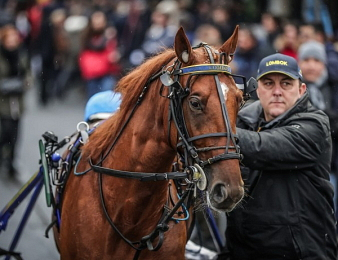 Lombok Jiel s'impose en Belgique pour sa rentrée