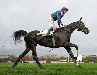 Losange Bleu est mort ce dimanche 11 octobre à Auteuil