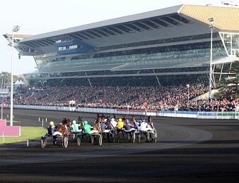 Maharajah a remporté le Grand Prix d'Amérique 2014