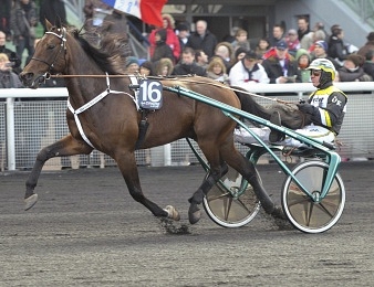 Maharajah revient deux mois et demi après son sacre dans le Prix d'Amérique
