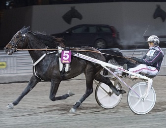 Makethemark est notre favori pour le quinté + PMU du dimanche 12 avril à Romme.