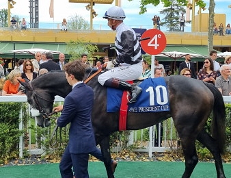 Mangoustine participera au Meeting de Royal Ascot