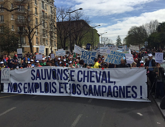 Manifestation de la Filière Cheval