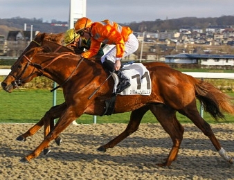 Marianafoot remporte le Prix Maurice de Gheest.