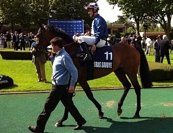 Mid Dancer a remporté trois fois le Grand Steeple-Chase de Paris
