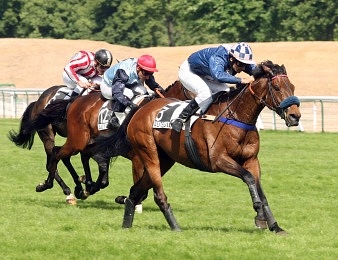 Mid Dancer se prépare pour défendre son titre dans le Grand Steeple-Chase de Paris