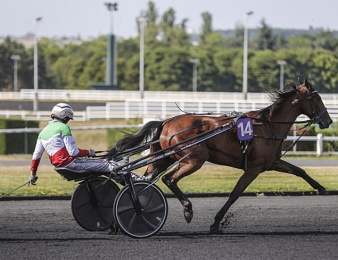 Mile Etoiles rentre au haras.