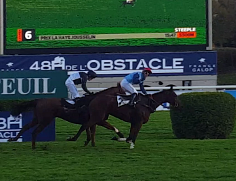 Milord Thomas a remporté son troisième Prix La Haye Jousselin dimanche à Auteuil
