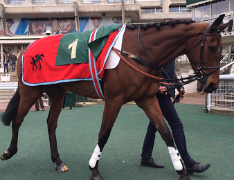 Milord Thomas sur la touche pour le printemps
