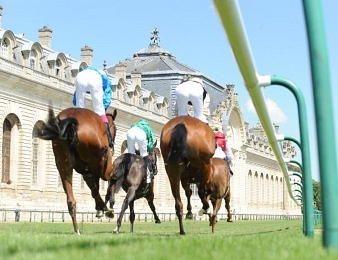 Mishriff remporte le Prix du Jockey Club