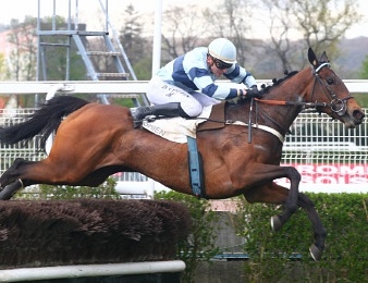 Miss de Champdoux file vers le Grand Steeple-Chase d'Enghien